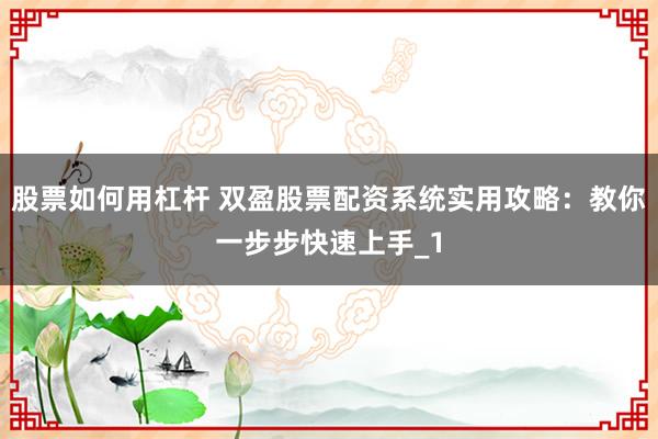 股票如何用杠杆 双盈股票配资系统实用攻略：教你一步步快速上手_1